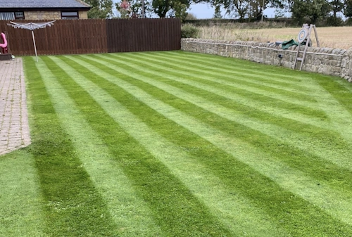 Chillingham Castle grounds maintenance - hedge trimming