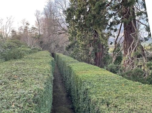 Large-scale commercial grounds management