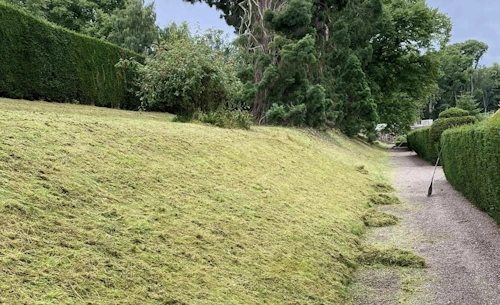 Professional commercial property landscaping