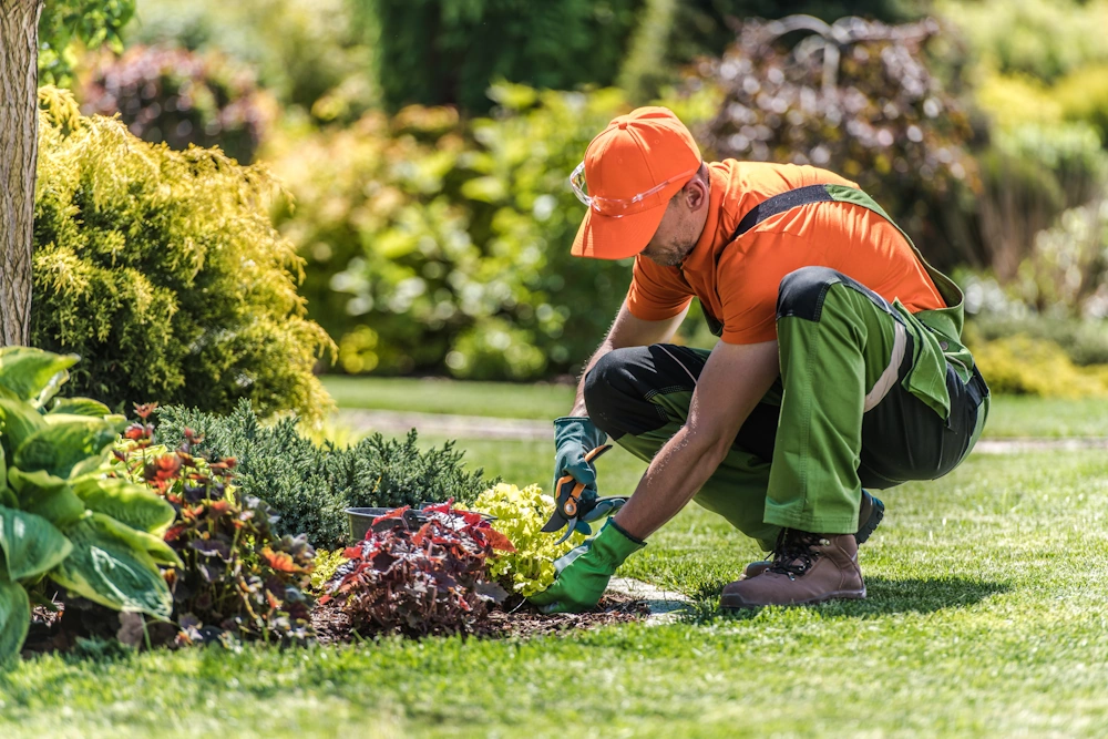 Garden maintenance and grounds care