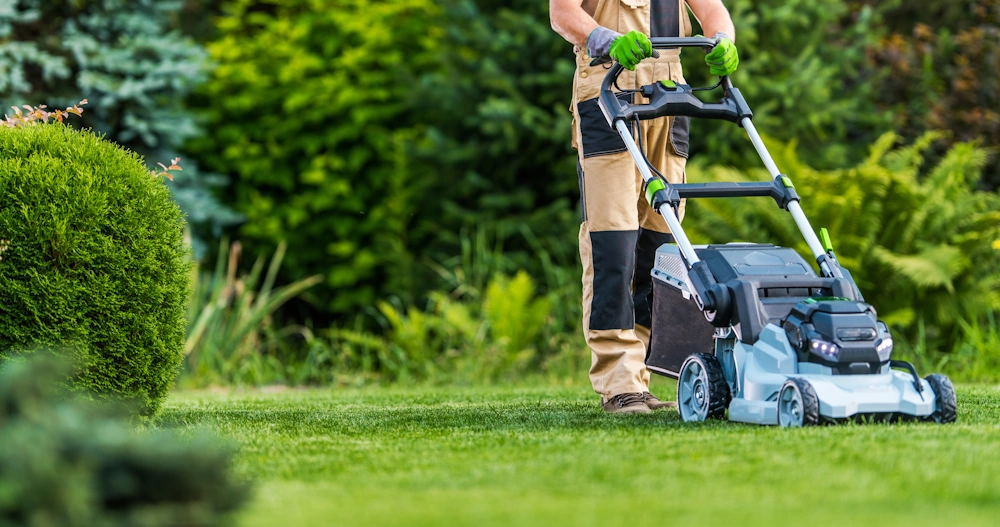Lawn care and grass cutting services